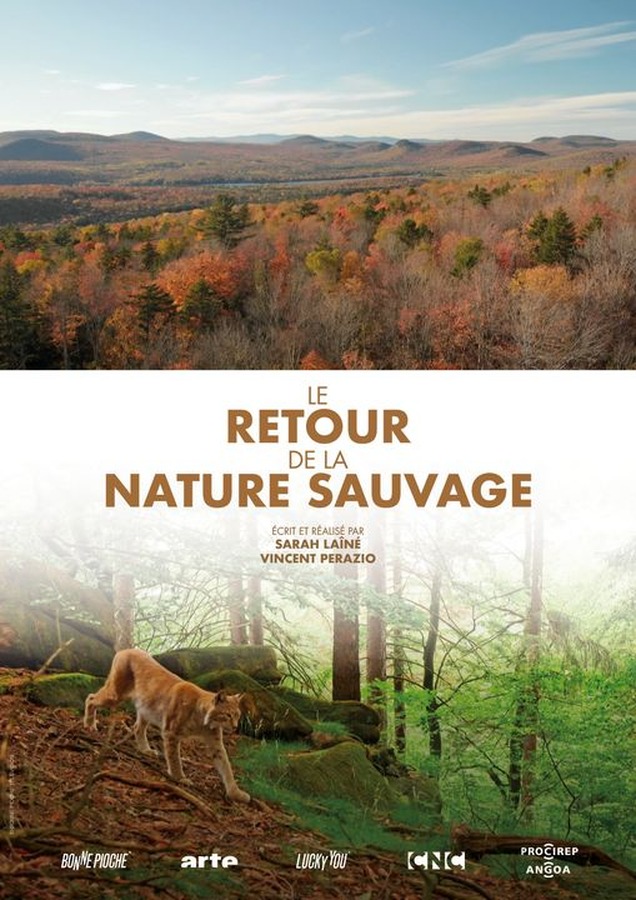 Affiche Le retour de la nature sauvage
