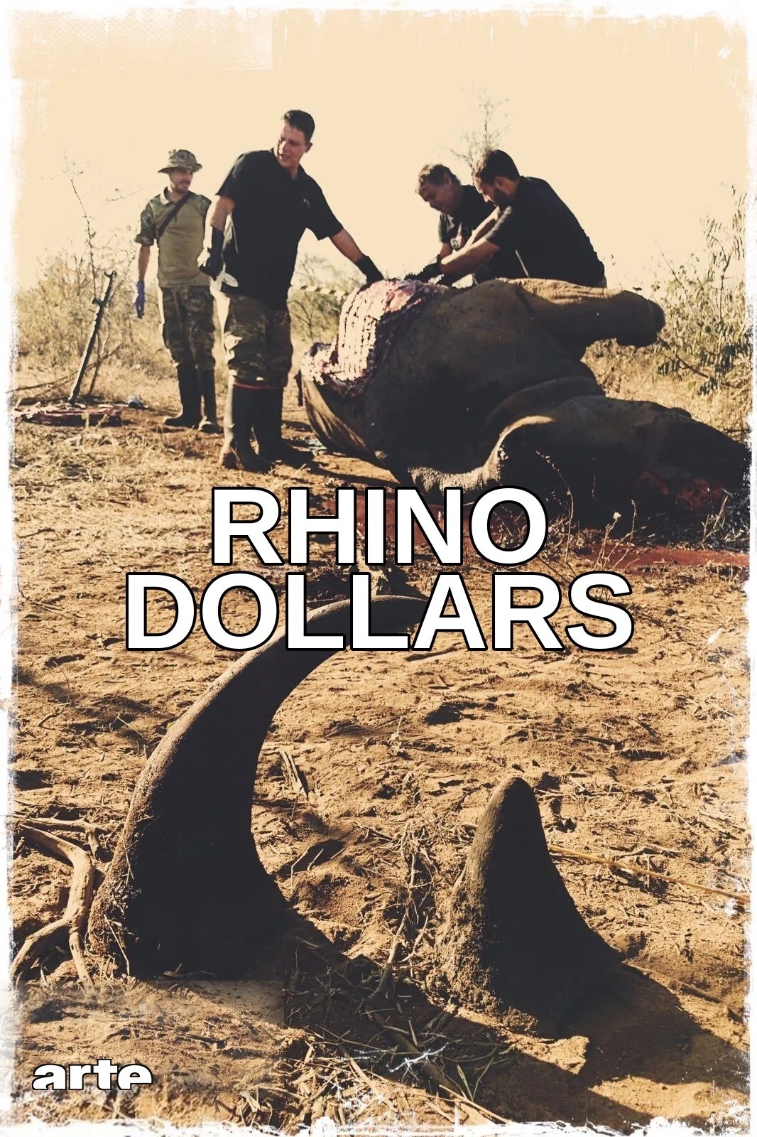 Affiche Rhino Dollars