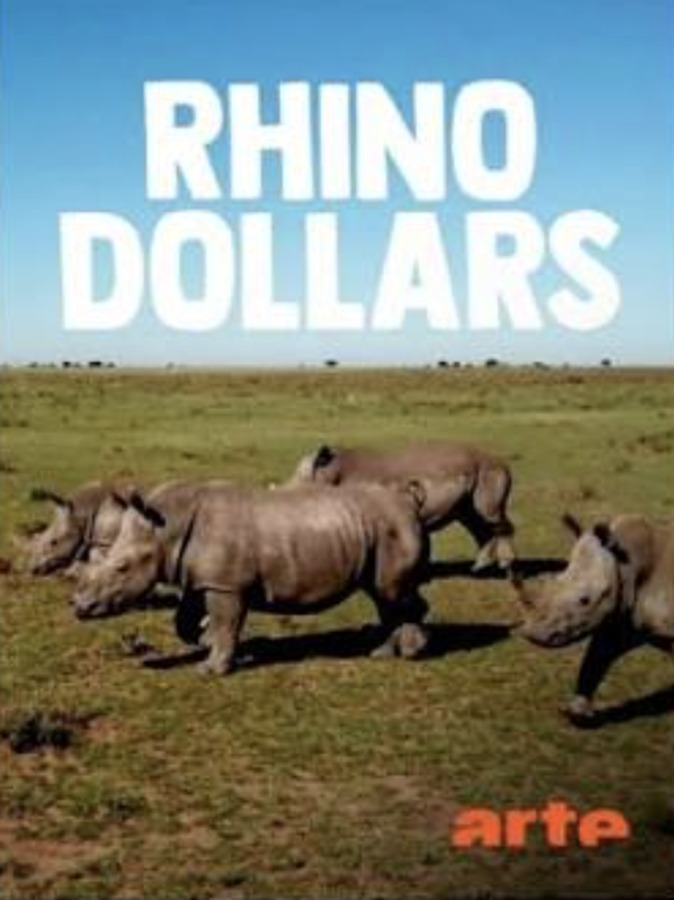 Affiche Rhino Dollars