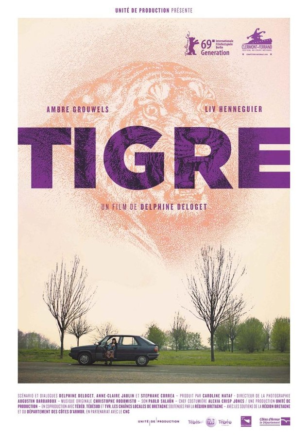 Affiche Tigre
